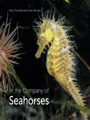 cover image of In the Company of Seahorses